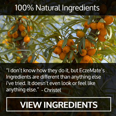 INGREDIENTS-2